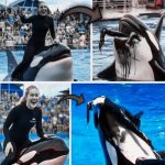 Orca trainer is devoured by this one while perfor…